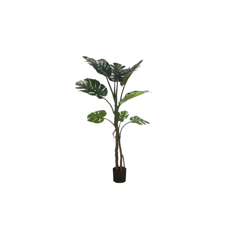 MONSTERA ARTIFICIAL FLOWER 180cm