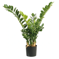 KWIATY SZTUCZNY ZAMIOCULCAS 90CM