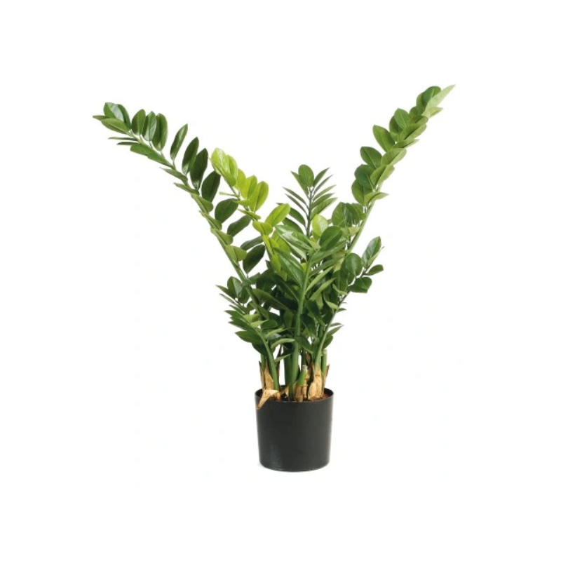 KWIATY SZTUCZNY ZAMIOCULCAS 90CM