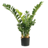 KWIATY SZTUCZNY ZAMIOCULCAS 90CM